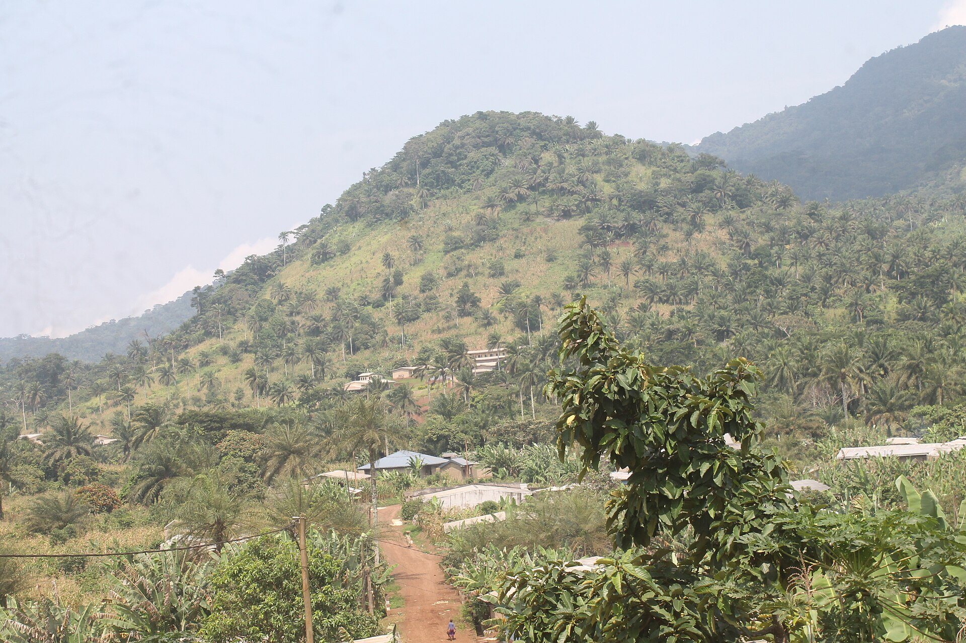 Le mont Nlonako, à Nkongsamba. Photo : Gtankam / Wikimedia Commons, CC BY-SA 4.0