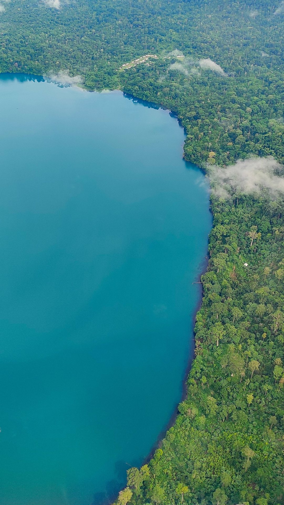 Le lac Barombi Mbo en saison sèche. Photo : Eric Joel MAMA NKE / Wikimedia Commons, CC BY-SA 4.0