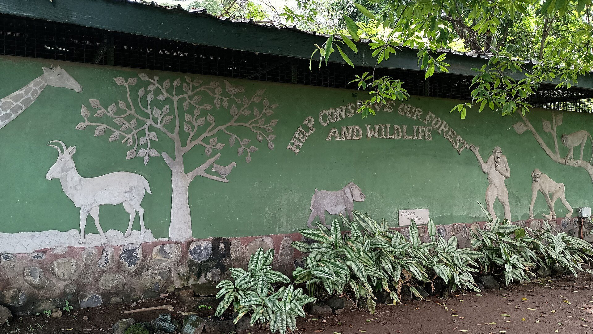 Le Limbe Wildlife Centre. Photo : Ndiptambe / Wikimedia Commons, CC0