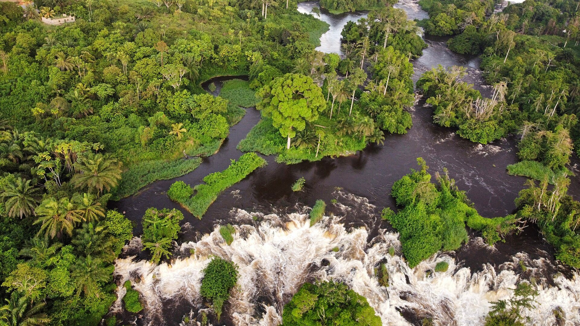 Les chutes de la Lobé. Photo : Blaizo 237 / Wikimedia Commons, CC BY-SA 4.0